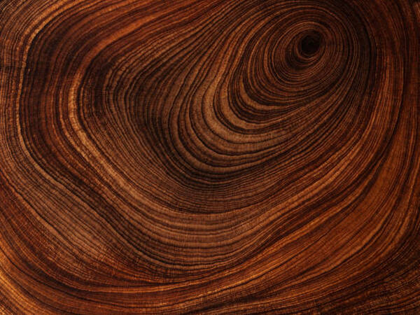 竹地板环保自然抗菌防潮地板 FB05